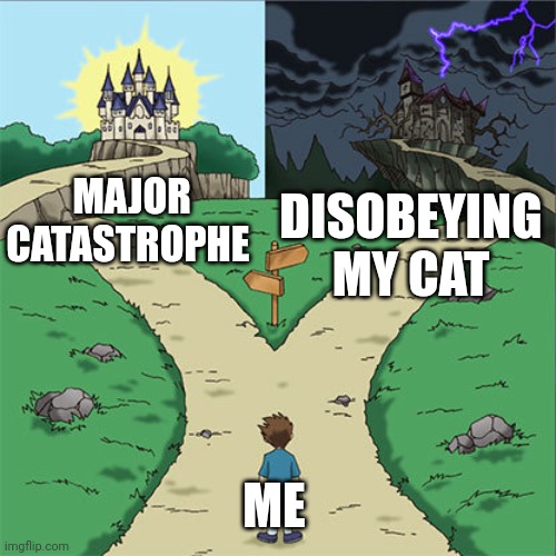 I'll take the major catastrophe, please | MAJOR CATASTROPHE; DISOBEYING MY CAT; ME | image tagged in two paths | made w/ Imgflip meme maker