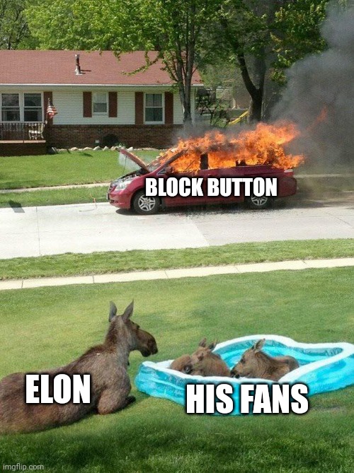 Elon Musk X Block | BLOCK BUTTON; ELON; HIS FANS | image tagged in moose watching car fire | made w/ Imgflip meme maker
