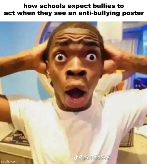 the posters do nothing istg | how schools expect bullies to act when they see an anti-bullying poster | image tagged in shocked black guy | made w/ Imgflip meme maker