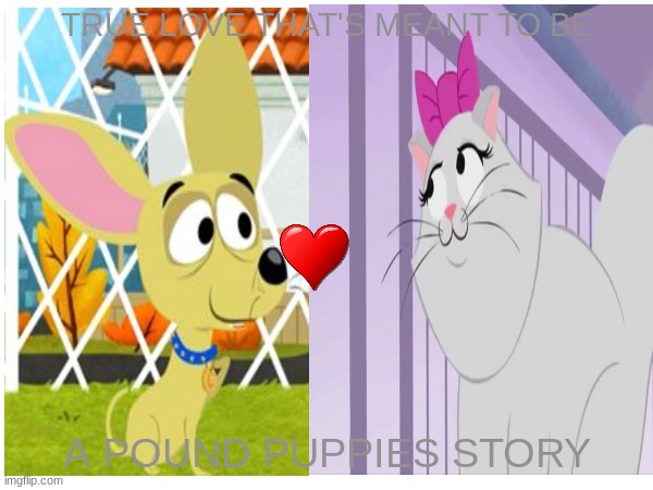 true love that's meant to be | TRUE LOVE THAT'S MEANT TO BE; A POUND PUPPIES STORY | image tagged in pound puppies | made w/ Imgflip meme maker