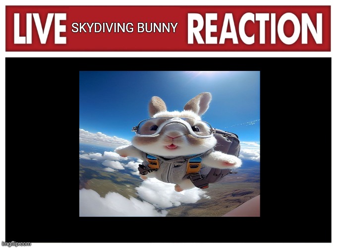 Skydiving bunny reaction | SKYDIVING BUNNY | image tagged in live reaction,skydiving | made w/ Imgflip meme maker