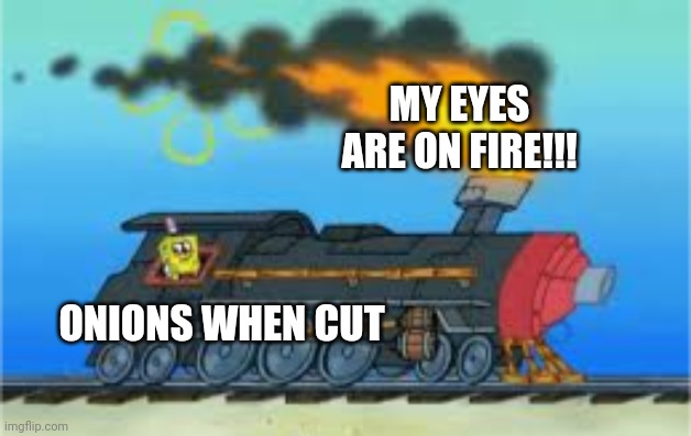 my eyes are on fire | MY EYES ARE ON FIRE!!! ONIONS WHEN CUT | image tagged in spongebob driving the oceanic express | made w/ Imgflip meme maker