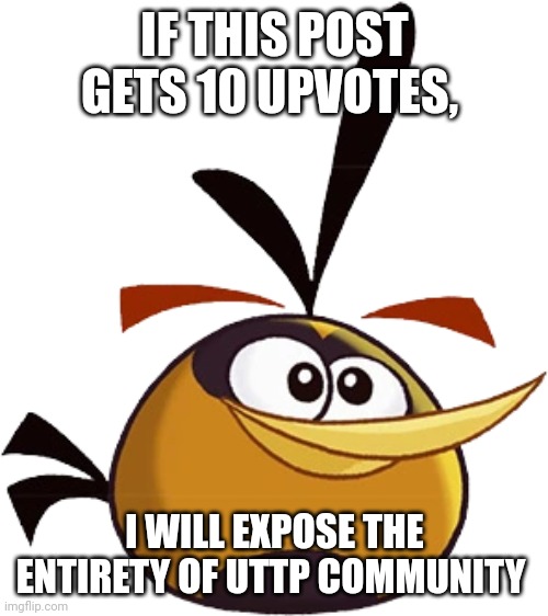 if you don't know what the hell is the uttp, they are a bunch of 8 to 12 year olds which are disrespectful af | IF THIS POST GETS 10 UPVOTES, I WILL EXPOSE THE ENTIRETY OF UTTP COMMUNITY | image tagged in bubbles angry birds toons | made w/ Imgflip meme maker