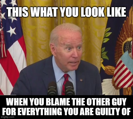 Joe Biden Poopy Pants | THIS WHAT YOU LOOK LIKE; WHEN YOU BLAME THE OTHER GUY
FOR EVERYTHING YOU ARE GUILTY OF | image tagged in joe biden poopy pants | made w/ Imgflip meme maker