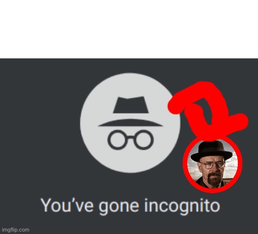 You've gone incognito | image tagged in you've gone incognito | made w/ Imgflip meme maker