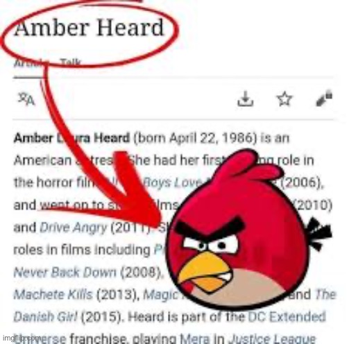 Red | image tagged in angry bird | made w/ Imgflip meme maker
