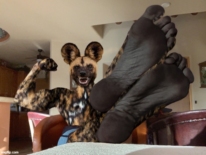 he got that dawg in him | image tagged in he got that dawg in him | made w/ Imgflip meme maker
