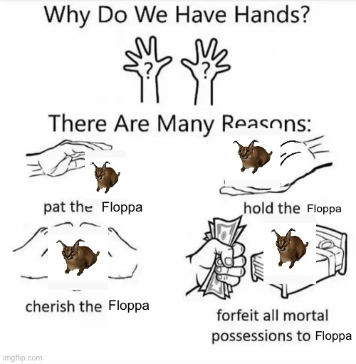 I love floppa | Floppa; Floppa; Floppa; Floppa | image tagged in why do we have hands all blank,floppa | made w/ Imgflip meme maker