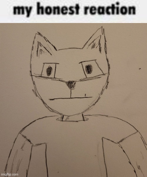 new temp | image tagged in nemesis my honest reaction | made w/ Imgflip meme maker