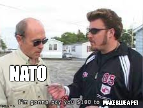 I will give you 100 dollars to f off | MAKE BLUE A PET NATO | image tagged in i will give you 100 dollars to f off | made w/ Imgflip meme maker