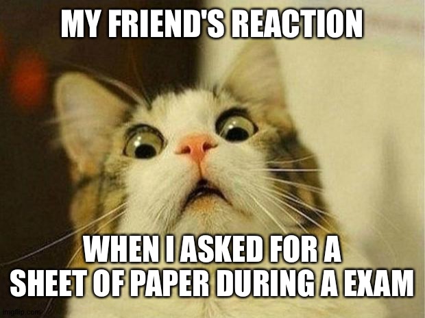 scared cat | MY FRIEND'S REACTION; WHEN I ASKED FOR A SHEET OF PAPER DURING A EXAM | image tagged in memes,scared cat | made w/ Imgflip meme maker