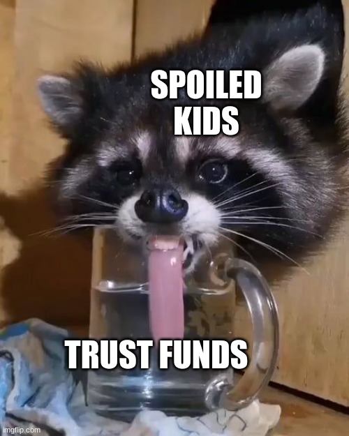 spoiled kids like trust funds | SPOILED KIDS; TRUST FUNDS | image tagged in raccoon drinks water | made w/ Imgflip meme maker