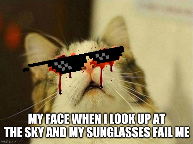 ow. | MY FACE WHEN I LOOK UP AT THE SKY AND MY SUNGLASSES FAIL ME | image tagged in memes,scared cat,blinded by the light | made w/ Imgflip meme maker