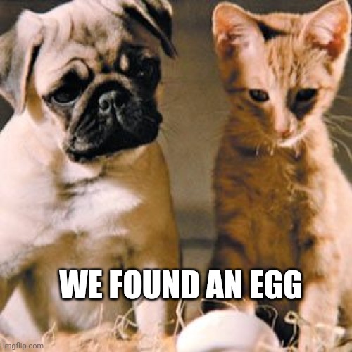 Milo and Otis | WE FOUND AN EGG | image tagged in milo and otis | made w/ Imgflip meme maker