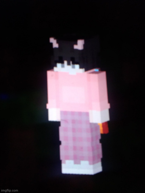 Scarfs transgender Minecraft skin | image tagged in scarfs transgender minecraft skin | made w/ Imgflip meme maker