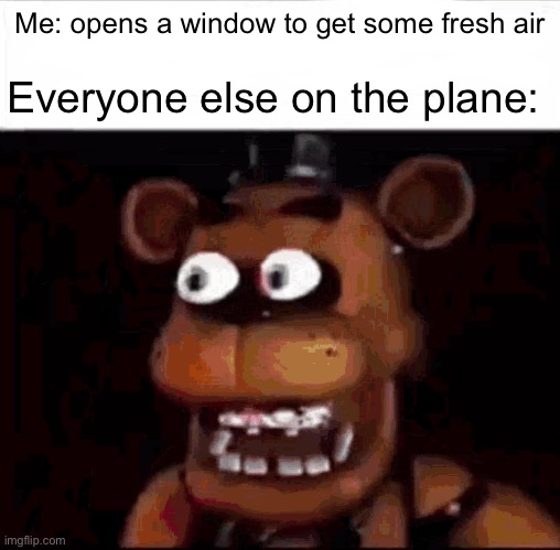 Lol | Me: opens a window to get some fresh air; Everyone else on the plane: | image tagged in shocked freddy fazbear,airplane | made w/ Imgflip meme maker