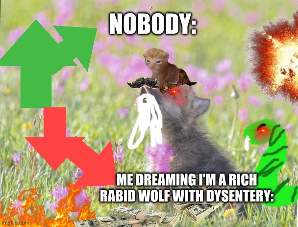My dreams | NOBODY:; ME DREAMING I’M A RICH RABID WOLF WITH DYSENTERY: | image tagged in memes,baby insanity wolf | made w/ Imgflip meme maker