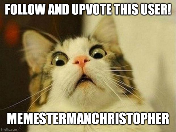 Scared Cat Meme | FOLLOW AND UPVOTE THIS USER! MEMESTERMANCHRISTOPHER | image tagged in memes,scared cat | made w/ Imgflip meme maker