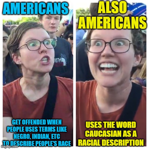 Logic out the window | ALSO AMERICANS; AMERICANS; USES THE WORD CAUCASIAN AS A RACIAL DESCRIPTION; GET OFFENDED WHEN PEOPLE USES TERMS LIKE NEGRO, INDIAN, ETC TO DESCRIBE PEOPLE'S RACE | image tagged in social justice warrior hypocrisy,funny,liberal logic,hypocrisy,liberal hypocrisy,sad but true | made w/ Imgflip meme maker