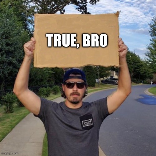 Veteran with a Sign | TRUE, BRO | image tagged in veteran with a sign | made w/ Imgflip meme maker