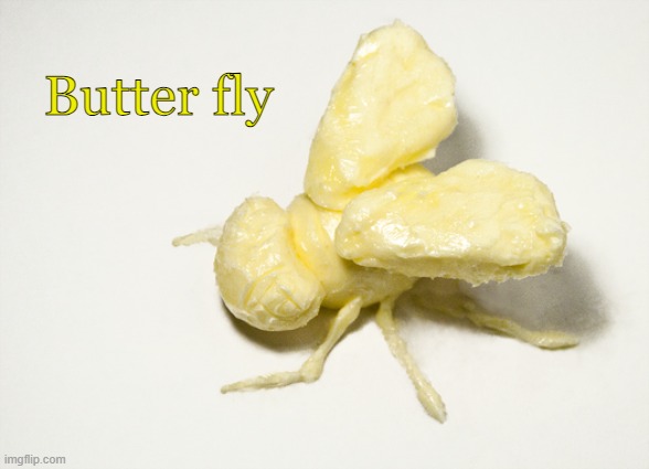 Butter fly | made w/ Imgflip meme maker