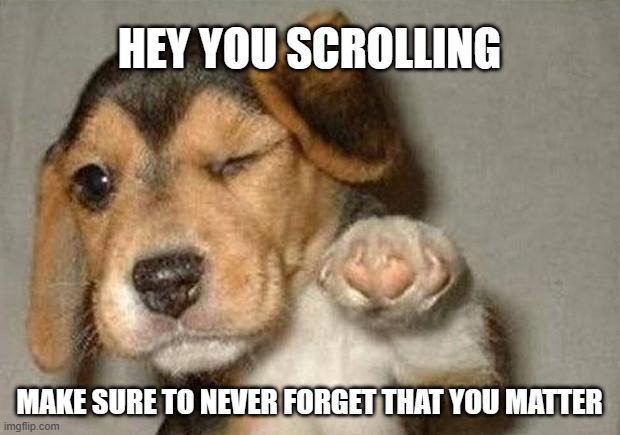 hello there | HEY YOU SCROLLING; MAKE SURE TO NEVER FORGET THAT YOU MATTER | image tagged in winking dog,wholesome,dog | made w/ Imgflip meme maker