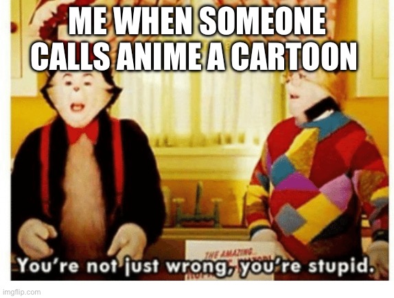 You're not just wrong your stupid | ME WHEN SOMEONE CALLS ANIME A CARTOON | image tagged in you're not just wrong your stupid | made w/ Imgflip meme maker