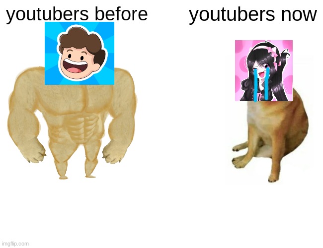 Buff Doge vs. Cheems | youtubers before; youtubers now | image tagged in memes,buff doge vs cheems | made w/ Imgflip meme maker