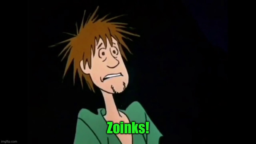 Zoinks | Zoinks! | image tagged in zoinks | made w/ Imgflip meme maker