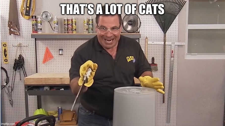 Phil Swift That's A Lotta Damage (Flex Tape/Seal) | THAT’S A LOT OF CATS | image tagged in phil swift that's a lotta damage flex tape/seal | made w/ Imgflip meme maker