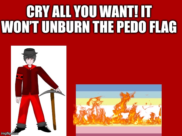 Mepios burns the pedo flag | CRY ALL YOU WANT! IT WON’T UNBURN THE PEDO FLAG | image tagged in pedophile,flag,burn,cowboy | made w/ Imgflip meme maker
