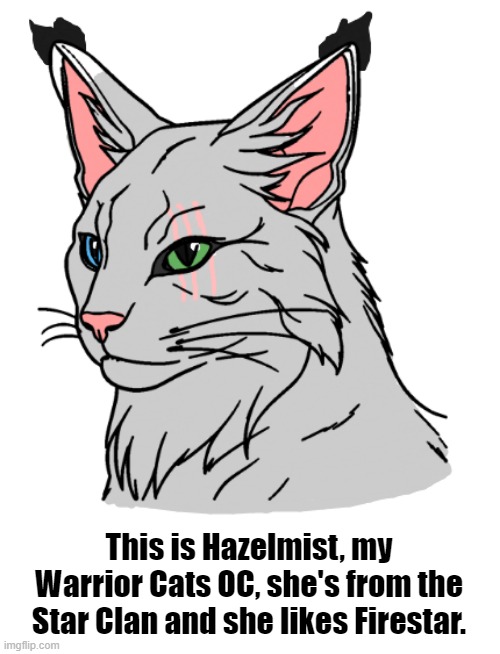 Hazelmist | This is Hazelmist, my Warrior Cats OC, she's from the Star Clan and she likes Firestar. | image tagged in warrior cats,original character | made w/ Imgflip meme maker