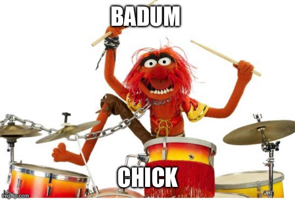 animal drums | BADUM CHICK | image tagged in animal drums | made w/ Imgflip meme maker