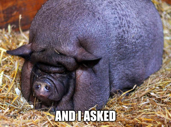 AND I ASKED | made w/ Imgflip meme maker