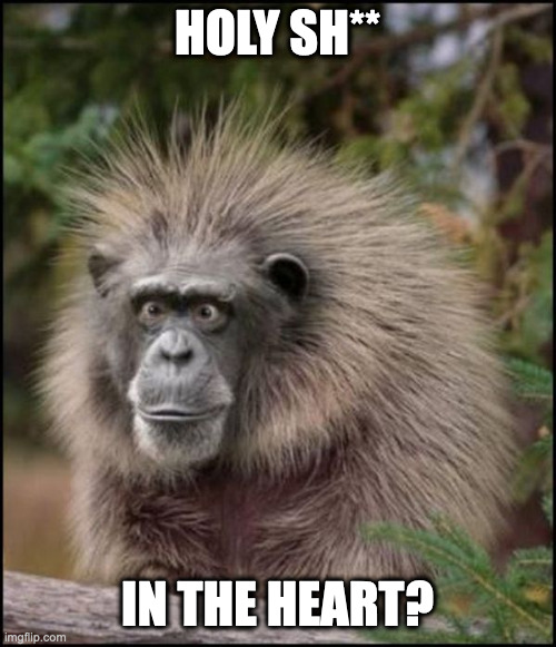 holy Sh*t monkey | HOLY SH** IN THE HEART? | image tagged in holy sh t monkey | made w/ Imgflip meme maker