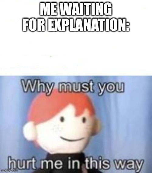 blank why must you hurt me | ME WAITING FOR EXPLANATION: | image tagged in blank why must you hurt me | made w/ Imgflip meme maker
