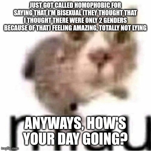 Hahaha, so fun, yeah | JUST GOT CALLED HOMOPHOBIC FOR SAYING THAT I'M BISEXUAL (THEY THOUGHT THAT I THOUGHT THERE WERE ONLY 2 GENDERS BECAUSE OF THAT) FEELING AMAZING, TOTALLY NOT LYING; ANYWAYS, HOW'S YOUR DAY GOING? | image tagged in miau | made w/ Imgflip meme maker