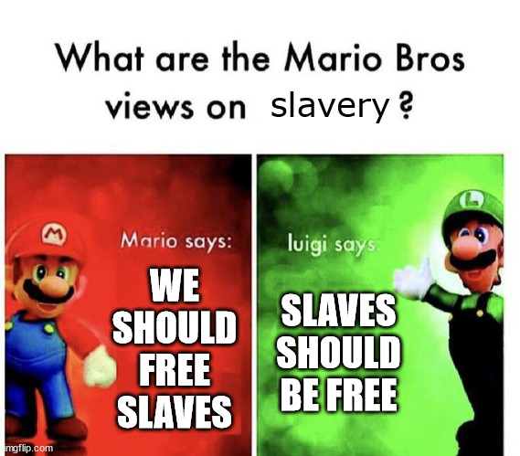 Mario Bros Views | slavery; WE SHOULD FREE SLAVES; SLAVES SHOULD BE FREE | image tagged in mario bros views | made w/ Imgflip meme maker