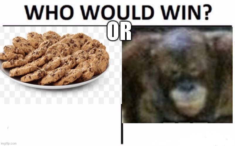 Who Would Win? Meme | OR | image tagged in memes,who would win | made w/ Imgflip meme maker