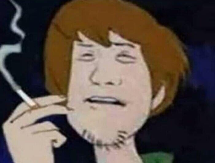 Shaggy Blank Meme Template