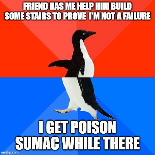 Hey, I finally succeeded at something in lif- DARN IT! | FRIEND HAS ME HELP HIM BUILD SOME STAIRS TO PROVE  I'M NOT A FAILURE; I GET POISON SUMAC WHILE THERE | image tagged in memes,socially awesome awkward penguin | made w/ Imgflip meme maker