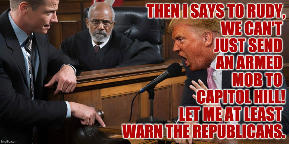 Sein Kampf. | THEN I SAYS TO RUDY,
WE CAN'T 
JUST SEND 
AN ARMED 
MOB TO 
CAPITOL HILL!
LET ME AT LEAST 
WARN THE REPUBLICANS. | image tagged in acting,memes,insurrection,jan 6,fuhrer trump | made w/ Imgflip meme maker
