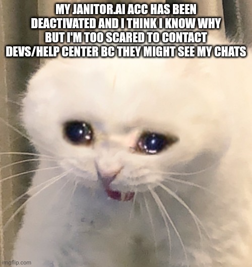 AAAAAAAAA | MY JANITOR.AI ACC HAS BEEN DEACTIVATED AND I THINK I KNOW WHY BUT I'M TOO SCARED TO CONTACT DEVS/HELP CENTER BC THEY MIGHT SEE MY CHATS | image tagged in screaming crying cat | made w/ Imgflip meme maker
