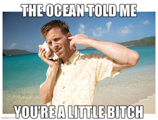 The Ocean Speaks! | image tagged in memes,ocean,funny,new,bitch | made w/ Imgflip meme maker