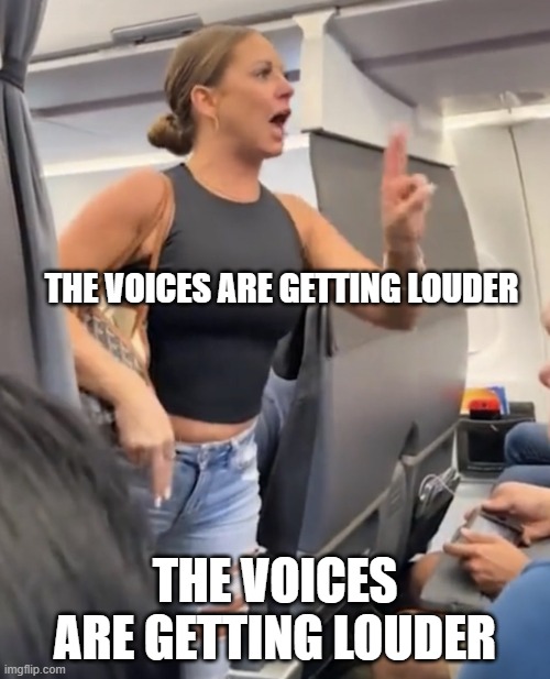 The voices | THE VOICES ARE GETTING LOUDER; THE VOICES ARE GETTING LOUDER | image tagged in plane lady not real | made w/ Imgflip meme maker