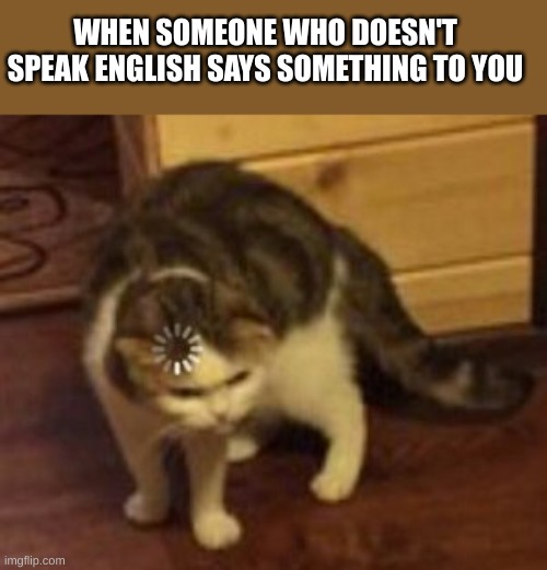 i have no idea what to tell them | WHEN SOMEONE WHO DOESN'T SPEAK ENGLISH SAYS SOMETHING TO YOU | image tagged in loading cat,funny,memes,funny memes | made w/ Imgflip meme maker