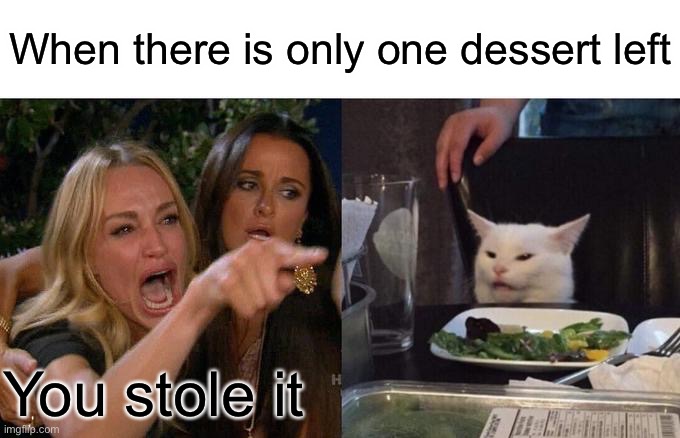 One Dessert | When there is only one dessert left; You stole it | image tagged in memes,woman yelling at cat,one,dessert,left,stolen | made w/ Imgflip meme maker