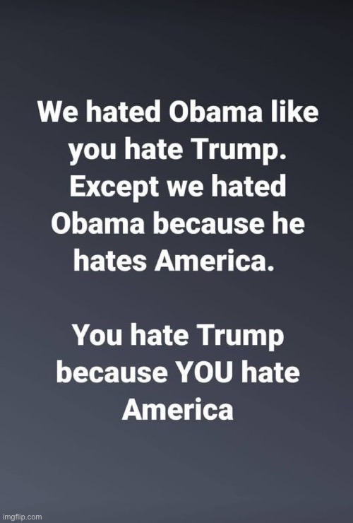 Liberals are anti-American | image tagged in stupid liberals | made w/ Imgflip meme maker