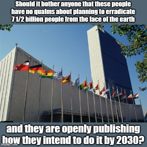 At least they'll be able to declare they saved the planet for themselves... | Should it bother anyone that these people have no qualms about planning to erradicate 7 1/2 billion people from the face of the earth; and they are openly publishing how they intend to do it by 2030? | image tagged in united nations flags | made w/ Imgflip meme maker