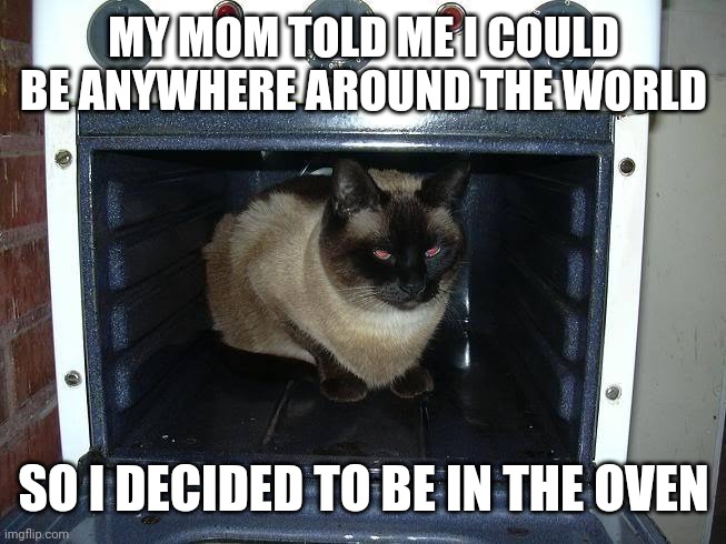 What my mom said anywhere | MY MOM TOLD ME I COULD BE ANYWHERE AROUND THE WORLD; SO I DECIDED TO BE IN THE OVEN | image tagged in memes,funny | made w/ Imgflip meme maker